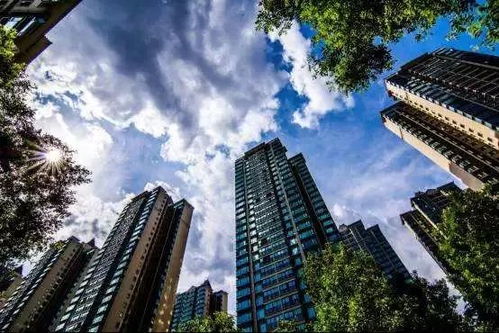 2019年中国经济展望 房地产仍有巨大投资需求